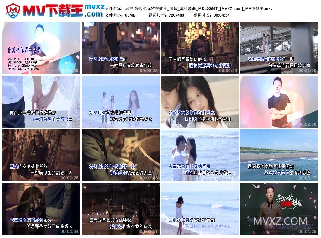 志王-好想把你留在梦里_国语_流行歌曲_MD402547